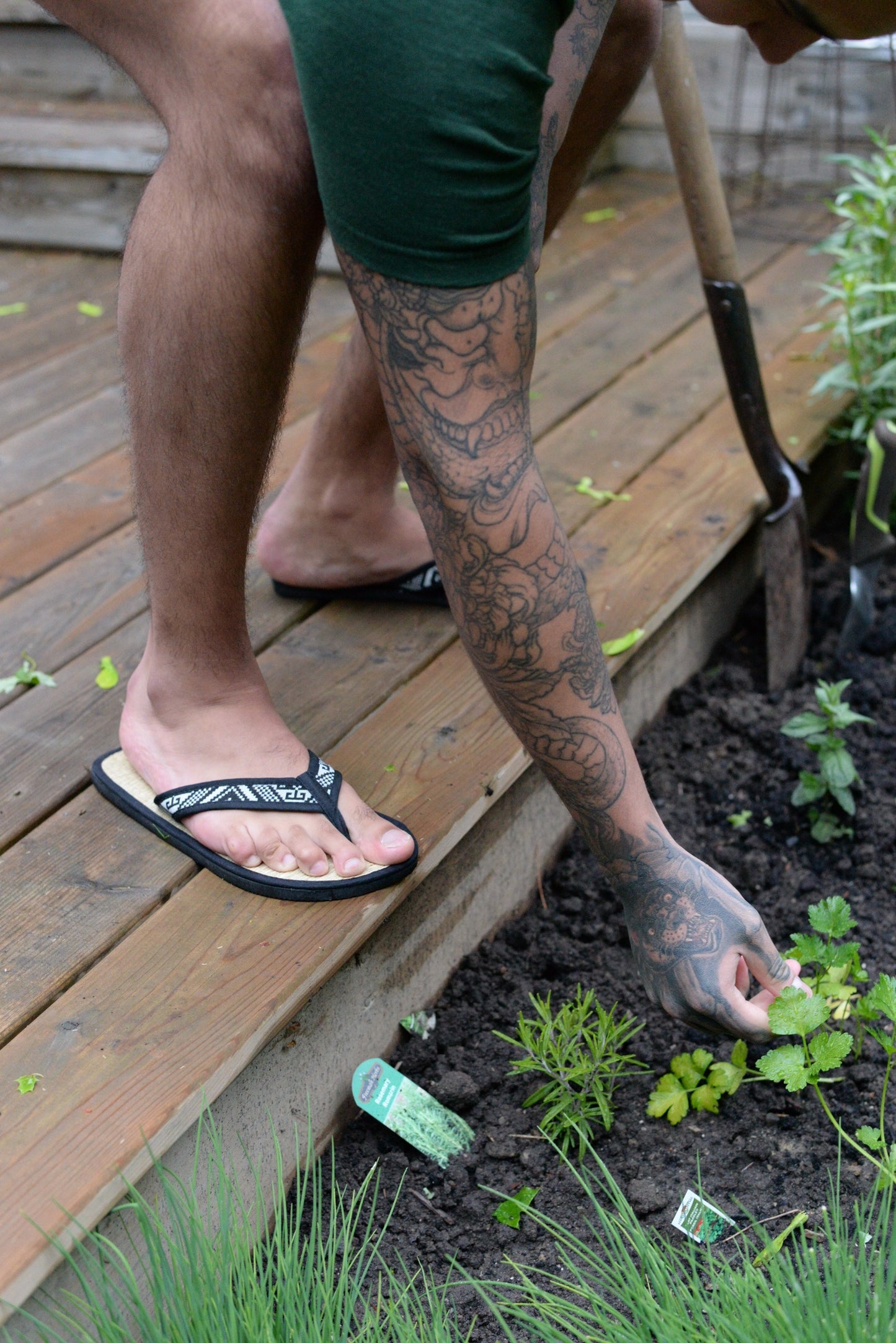 Vaso SedgeSole | Balkans