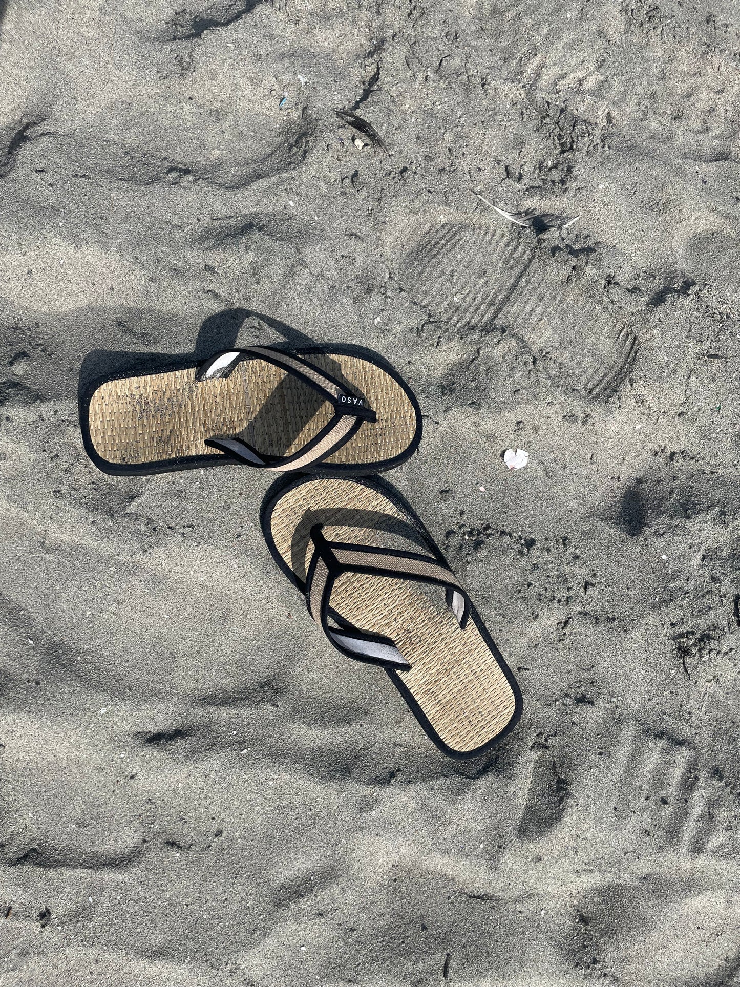 Vaso SedgeSole | Roots