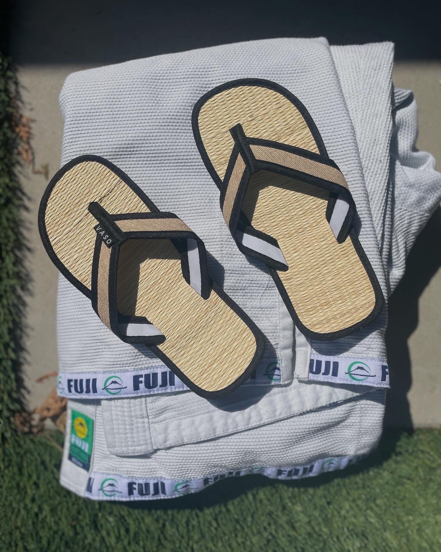 Vaso SedgeSole | Roots