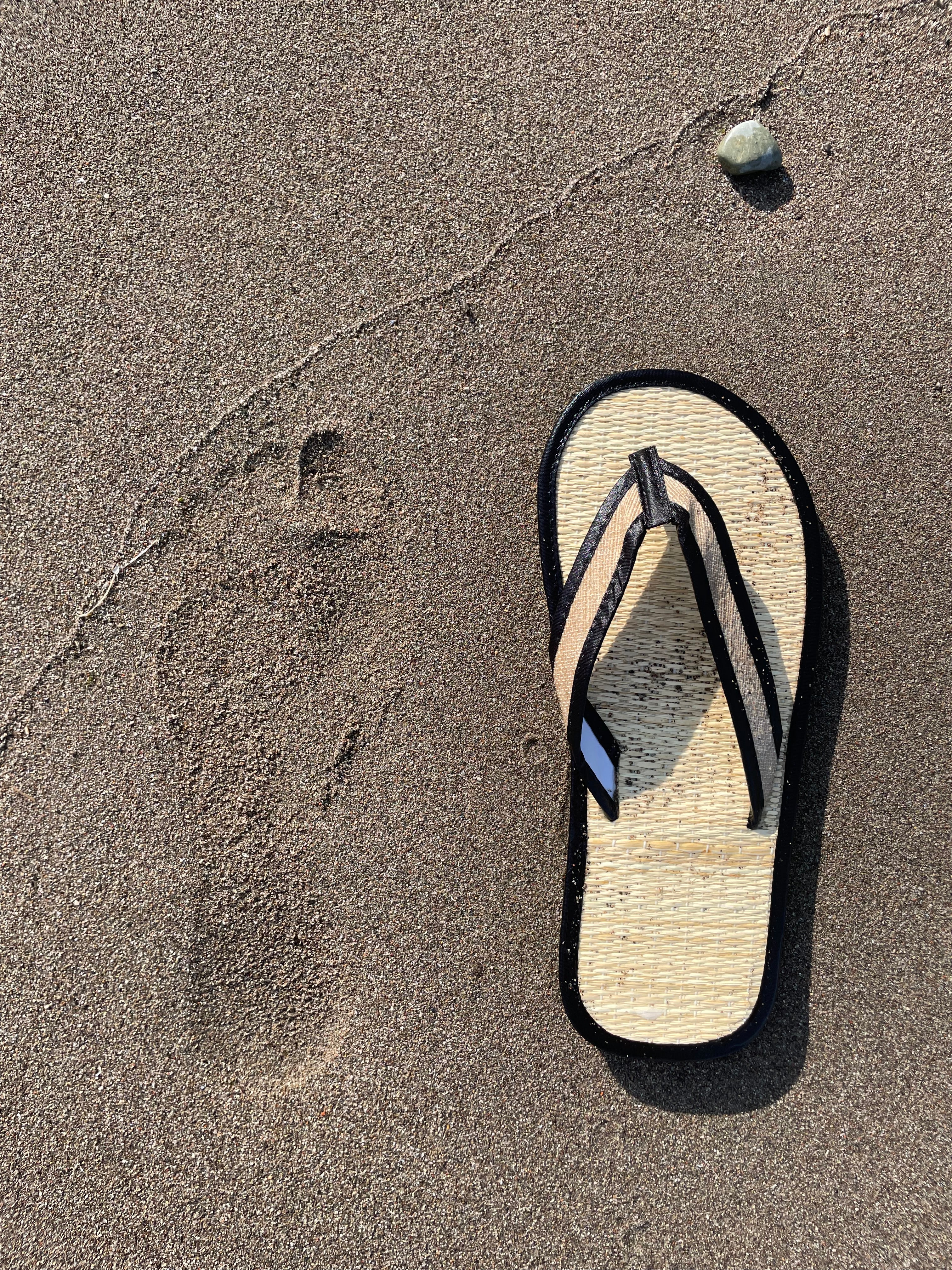 Vaso SedgeSole | Roots