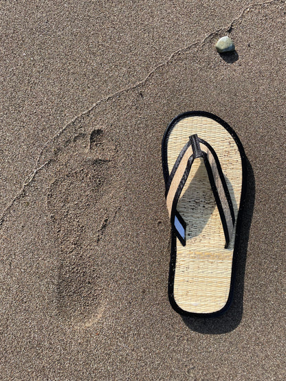 Vaso SedgeSole | Roots