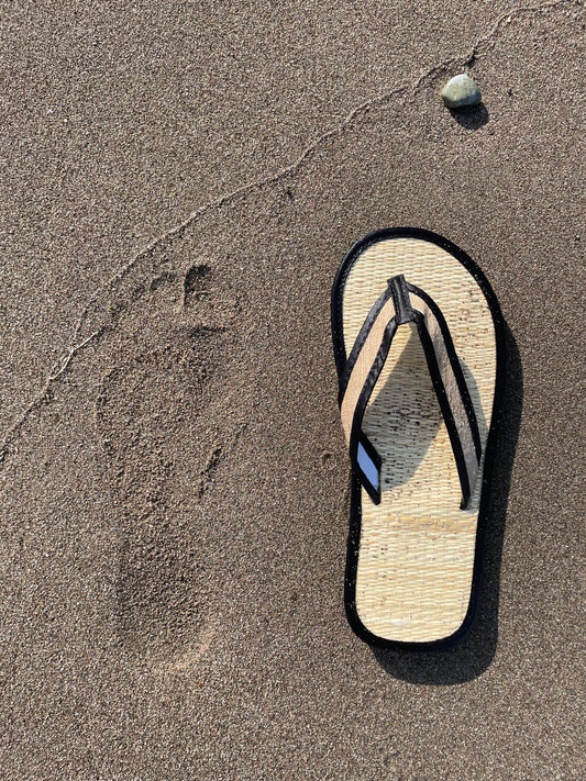 Vaso SedgeSole | Roots